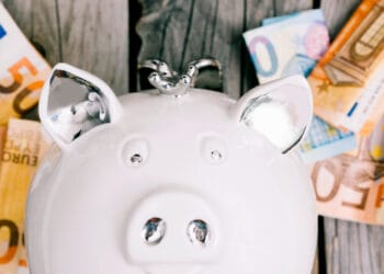 Baltos kiaulytės veidas su eurų banknotais stambiu planu