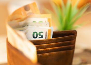 Piniginė su euro banknotais ir augalu kada sodra moka ismokas